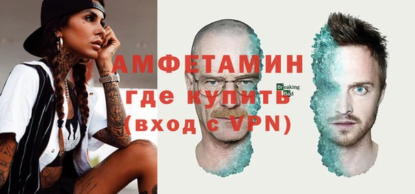 метадон Богданович