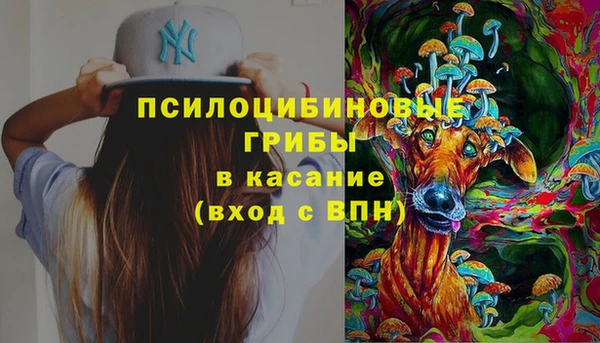 jwh Белокуриха