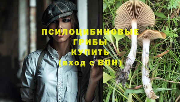 MESCALINE Богородицк